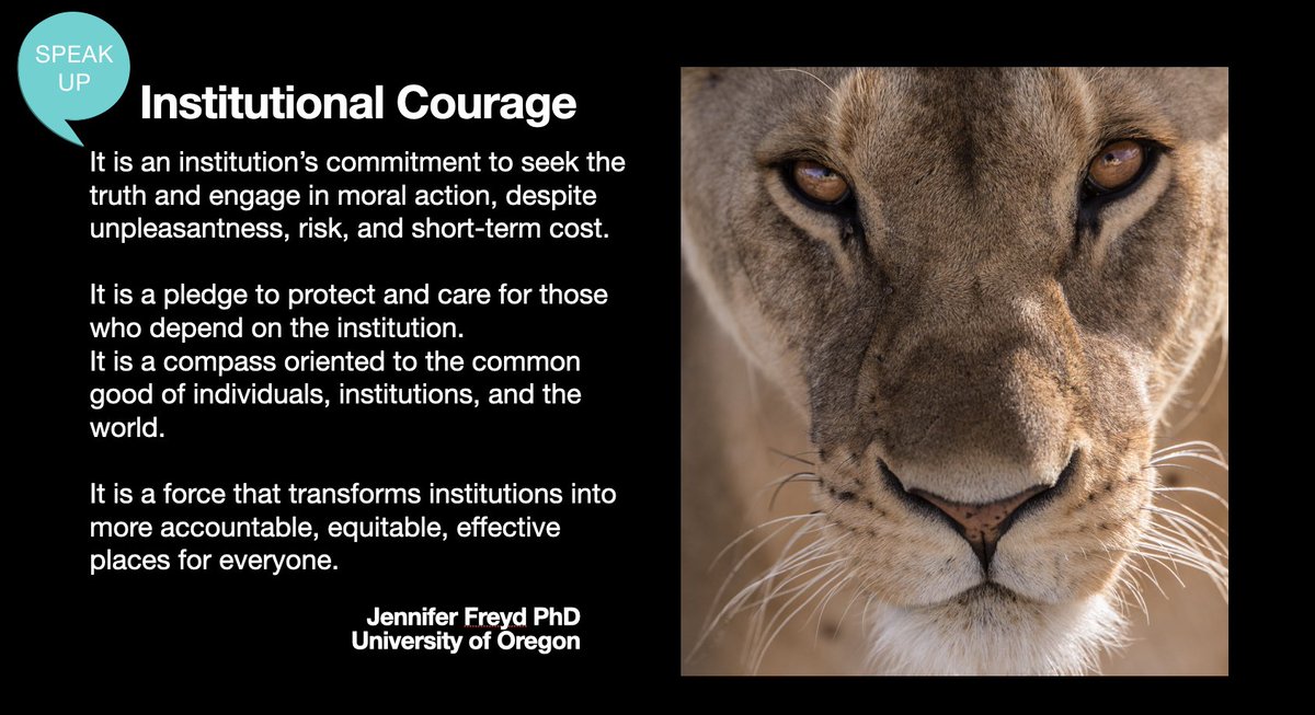 When a senior member of an institution is accused of harmful conduct, the institution needs to consider its values, protecting its broader constituents and what message it portrays by its conduct or inaction.  @jjfreydcourage calls this Institutional Courage