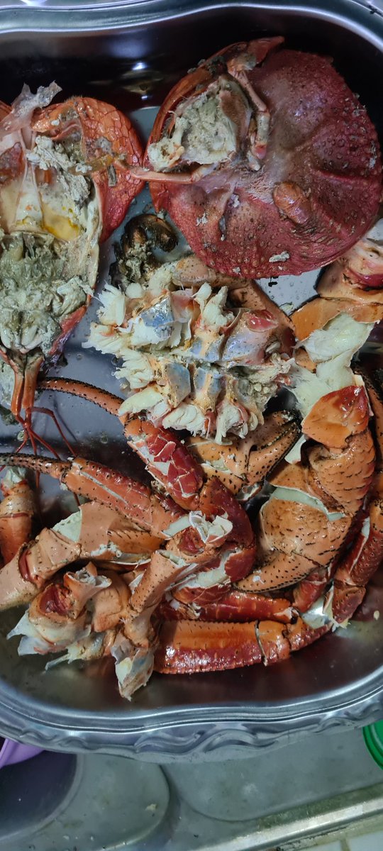 sbaleirarafj's tweet image. #coconutcrab  #kusima