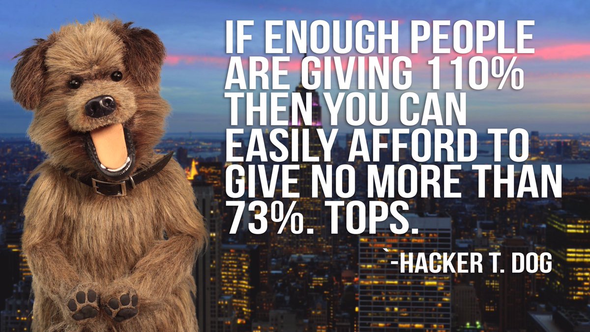 HackerTDog's tweet photo. #tuesdaymotivations https://t.co/a5joEqEB8a