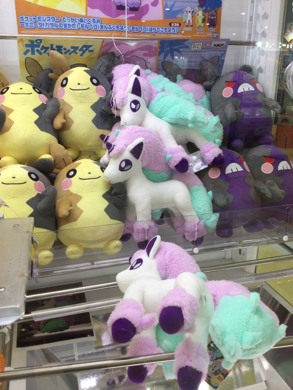 Twitter 上的 セガ庄内 投入中 ポケットモンスター でっかいぬいぐるみ ポニータ ガラルのすがた モルペコ まんぷくもよう モルペコ はらぺこもよう セガのお店 ポケモン T Co Wm7iury45j Twitter Twitter 上的 セガ庄内 投入中 ポケットモンスター でっかいぬいぐるみ ポニータ ガラルのすがた モルペコ まんぷくもよう モルペコ はらぺこもよう セガのお店 ポケモン T Co Wm7iury45j Twitter