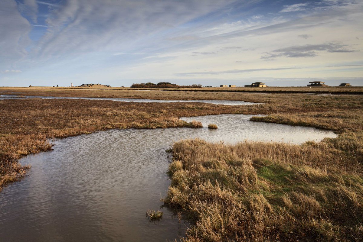 thesuffolkcoast tweet picture