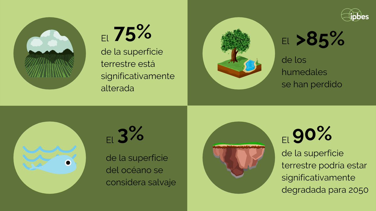 ipbeses's tweet photo. 🌿📗'La evaluación mundial de @IPBESes concluyó que la #Naturaleza se está deteriorando a un ritmo y escala sin precedentes en la historia de la humanidad

1 millón de #especies de plantas y animales están amenazadas de extinción"

—A. Larigauderie de @IPBESes en el @Europarl_ES https://t.co/k54yyBOJIX