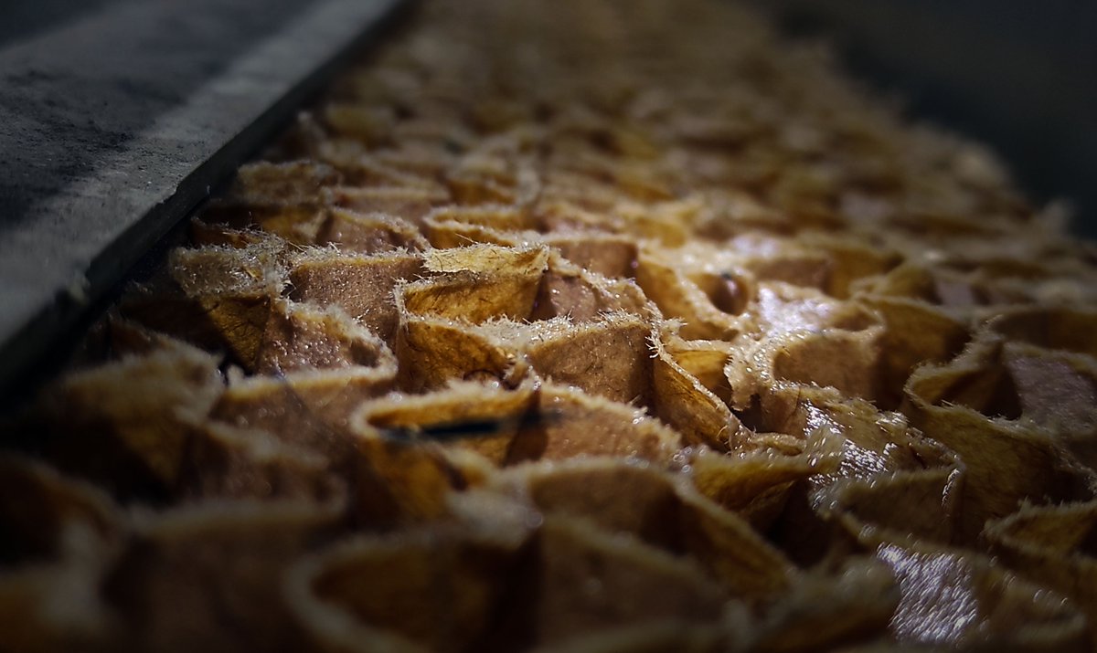 The clean air inside any space is one of the maxims of #Airmagic.  Our exclusive high absorption filters prevent the proliferation of viruses, bacteria and other pathogens in #commerces, #colleges, #industries, #hospitality. Ask us for information. 
info@airmagic.es