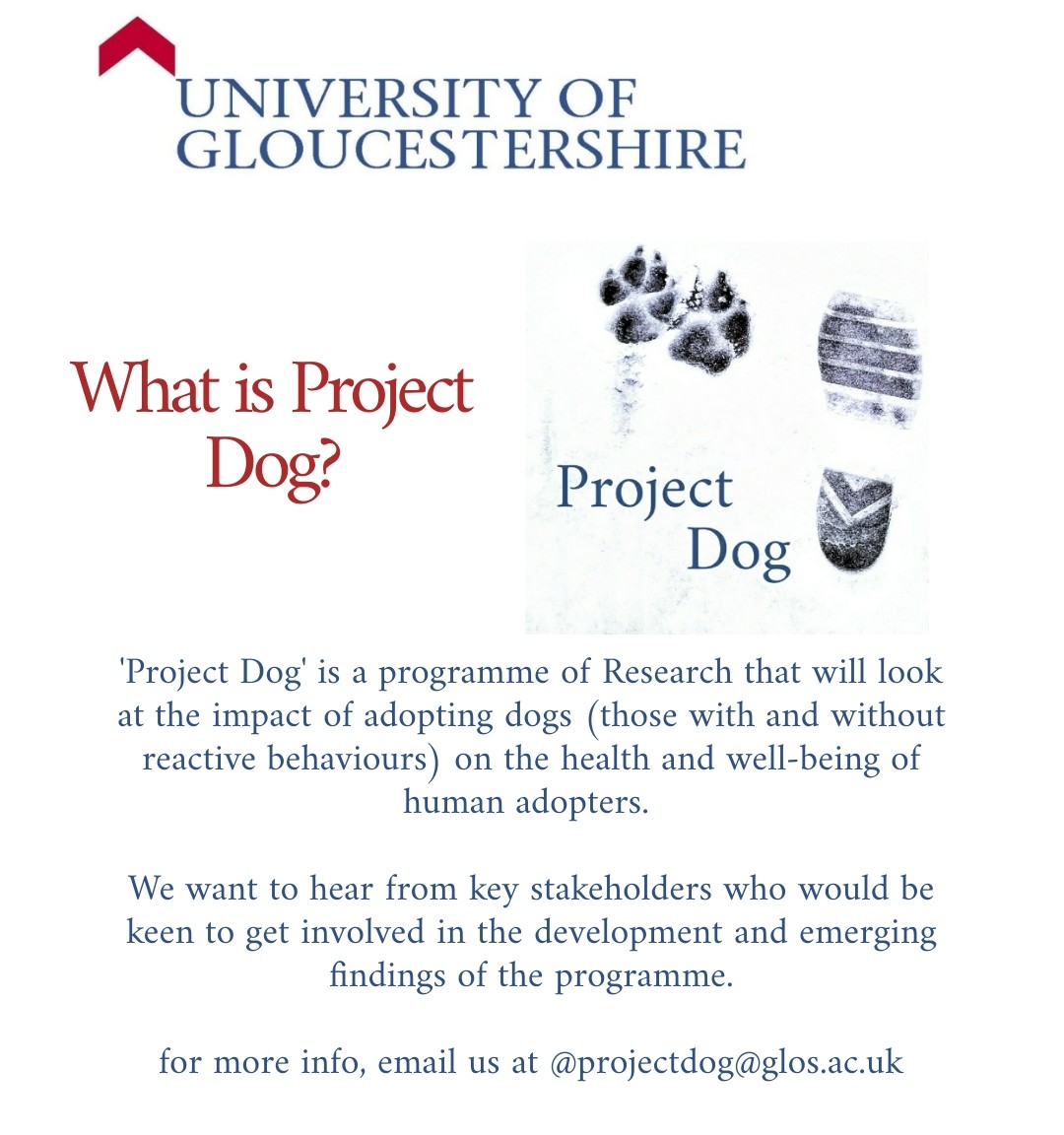 Project Dog tweet media