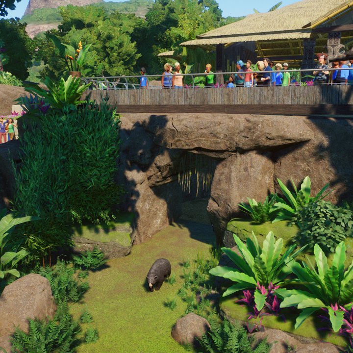 ninegems1's tweet photo. I built formosan black bear habitat. Create a natural cave-shaped shelter under a cabin balcony. Speed build video in here: https://t.co/AQADinZQYJ
#planetzoo https://t.co/20XNz4IdBd