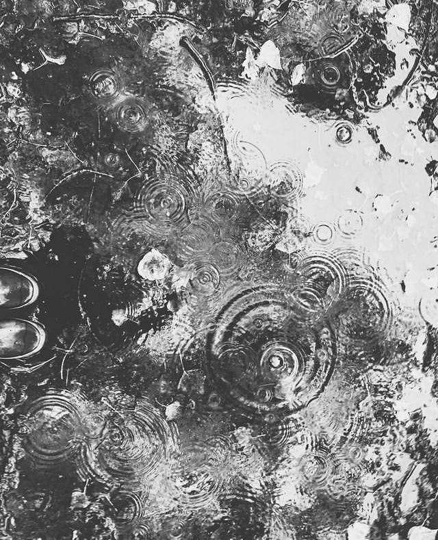 PhotographyAcad's tweet photo. #StudentSpotlight: Rainy days captured by #BAPHstudent Emma Prendergast. 📷
Check out all her great work: https://t.co/SOHoHRf2Ls

#photographycourse #blackandwhitephotography #BAPH https://t.co/wde8WoqdiQ