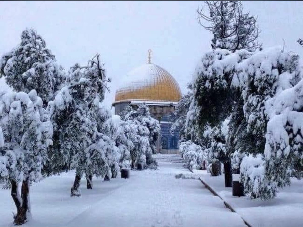 adhamsharkawi's tweet photo. عروس المدن في ثوبها الأبيض ❤️ https://t.co/0cNpIbbUpc