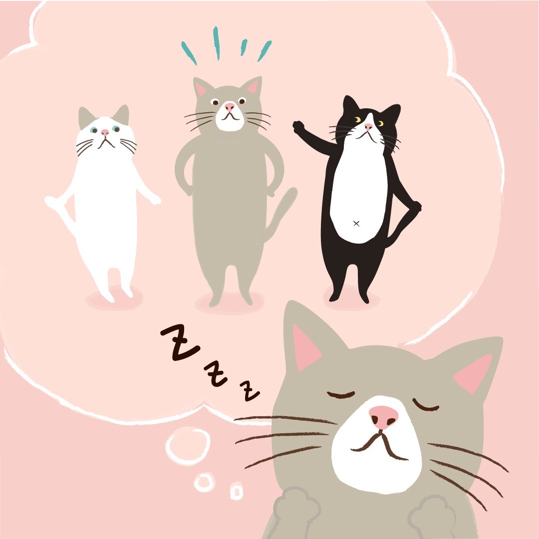 たーちゃん⭐︎ 田中ちゃん ホロモデル本体 | Xマーケット | 世界最大級のXR（AR／VR