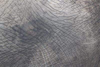 Cuando alguien a quien queremos nos hiere, suele ser expresión de un malestar interno no controlado. Es generoso entonces situarse por encima de la ofensa e intentar comprenderlo. 
.
#coaching #bienestar #desarrollopersonal #bisiecoach 
Photo By Marc Albrecht