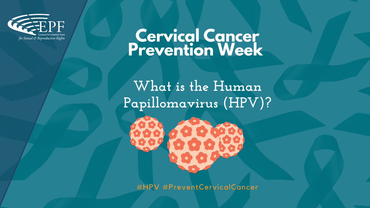 EPF_SRR's tweet photo. #DYK 30 types of #HumanPapillomaVirus are sexually transmitted:
1️⃣ #HPV lives on our skin &amp; may not show symptoms
2️⃣ 8/10 people will contract it in their lifetime
3️⃣ Some HPV types cause #cervicalcancer
👉Most cancer-causing #HPVs can be prevented via 💉
#CervicalCancer https://t.co/hav3cxDrHU
