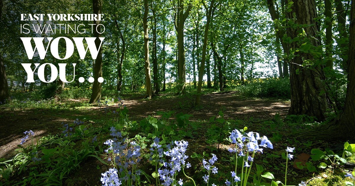 We can’t wait to welcome you back to East Yorkshire in 2021!

No matter the season, East Yorkshire is waiting to wow you! If you're planning your visit, make sure you head to our website.

visiteastyorkshire.co.uk 

#WowBookNow #VisitEastYorkshire