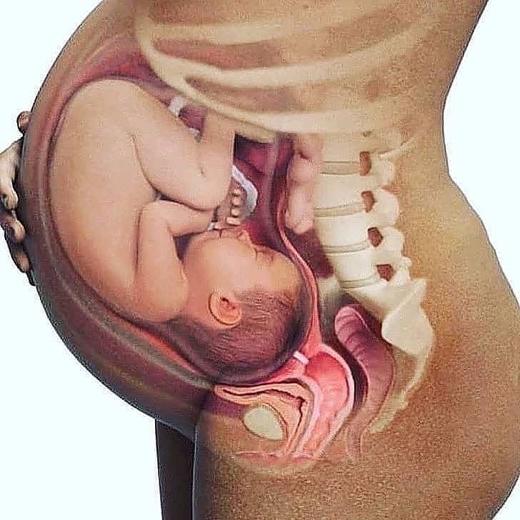 TMammiest's tweet photo. Guess the month? How many months are you pregnant?

#pregnant #bump #pregnancy https://t.co/imlAZL6WCk
