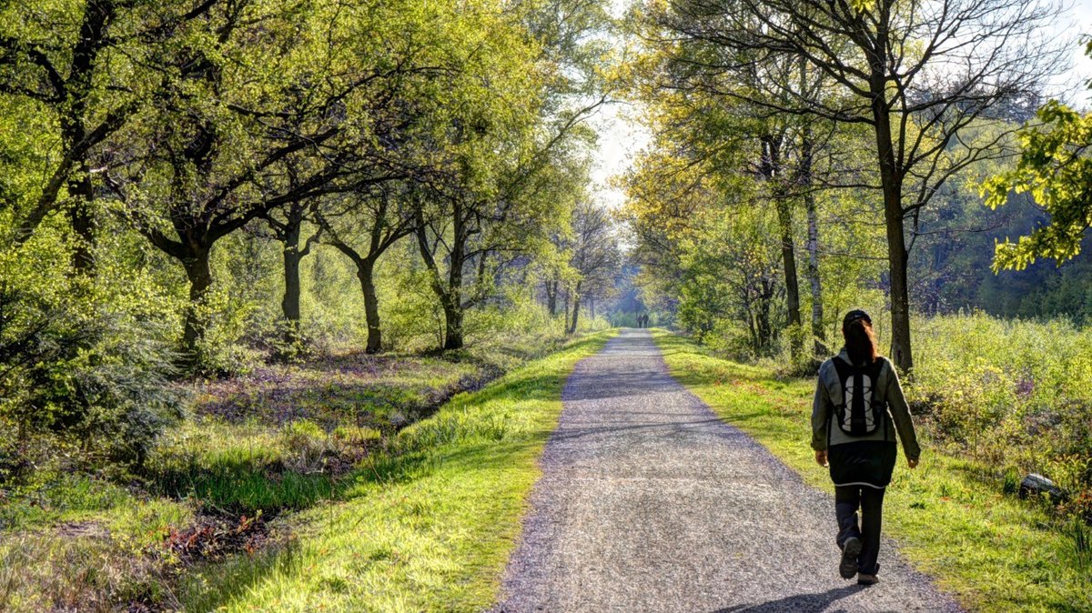 WalkWheelCycleT's tweet image. "While some people have access to nature either on their doorstep or by travelling, others don't have that opportunity" - Our @gillett_dj explains why we're calling for public access to nature to be a priority in the upcoming Environment Bill: sustrans.org.uk/our-blog/news/…