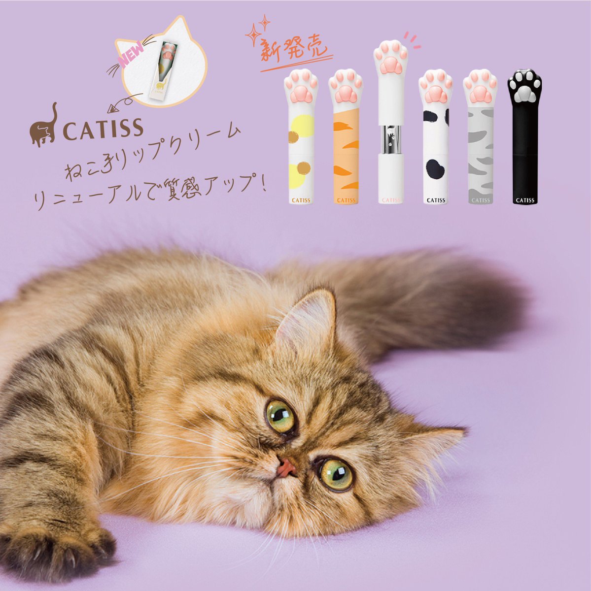 catiss12's tweet photo. 新発売!CATiSSのリップクリームが新しくなりました🐈💓

✅2つの新しくなったポイント
👉 新しい柄の新入荷✨
👉パッケージがリニューアル✨

かわいい猫の肉球と、楽しい時間を過ごしましょう！

「CATiSS」のリップご購入は、プロフィールのサイトURLから可能です。
#ねこ #猫好きさんと繋がりたい https://t.co/xv11qqYVJT