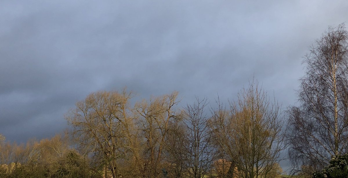 tom_r_p's tweet photo. I think it’s safe to say the #Cloud are saying there a #Storm on the way. But the way the #Sun #Shine on the #Trees say there will always been #Brighter times. https://t.co/PSuiS738Si