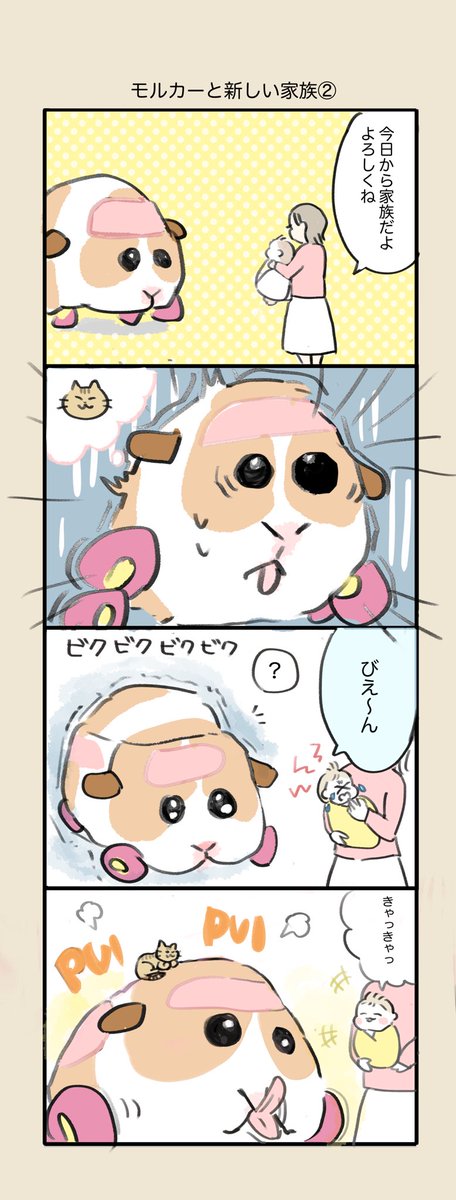 モルカーと赤ちゃん? #モルカー 