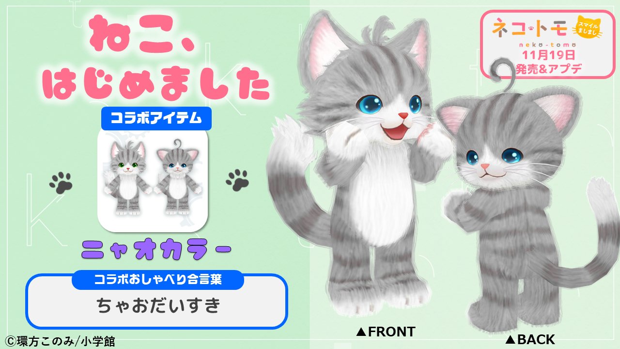 ねこ はじめました公式 Nekohajimeta Twitter