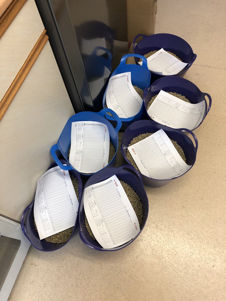 ExplorerCoffees's tweet photo. 7 loads to go! #LetsRoast https://t.co/y7YElBxriI