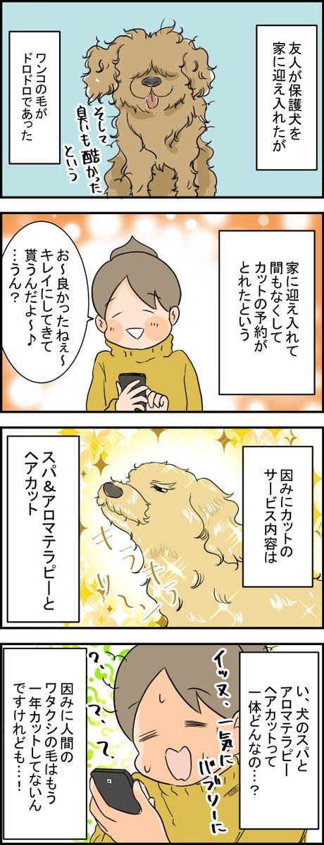 一気に駆け上がっていく保護犬ワンコ ブログはこちら→ https://t.co/YOiwtQVn9e 