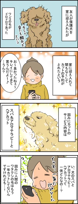 一気に駆け上がっていく保護犬ワンコ ブログはこちら→ https://t.co/YOiwtQVn9e 