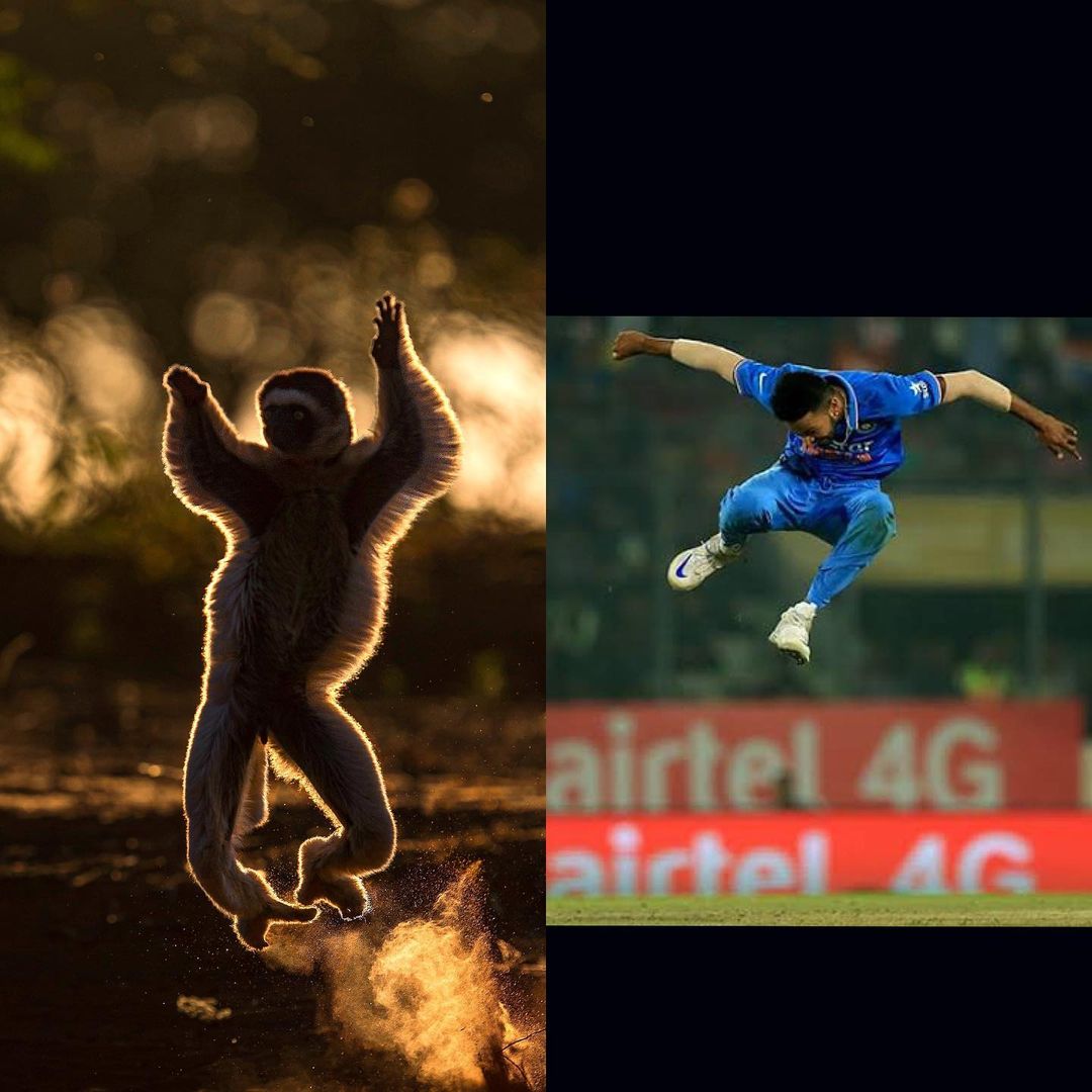 EarthTravell's tweet photo. What say is it perfect or not ? 
#INDvsAUS #INDvAUS #IndianCricketTeam #INDvsAUSTest #AUSvsIND #AUSvINDtest #AUSvIND #Australia #Cricket #crisigoverno #India #IndiavsAustralia #COVID19 #coronavirus #vaccine #vaccination  #mondaythoughts https://t.co/f2jN1nSXra