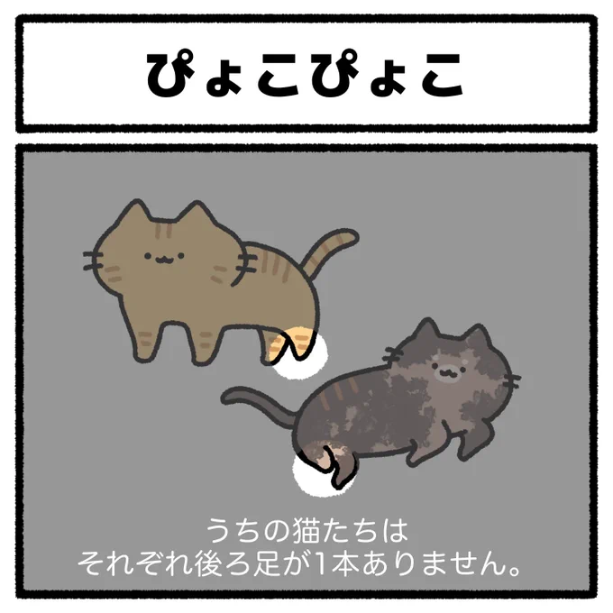 猫は何しててもどんな姿でも可愛い… 
