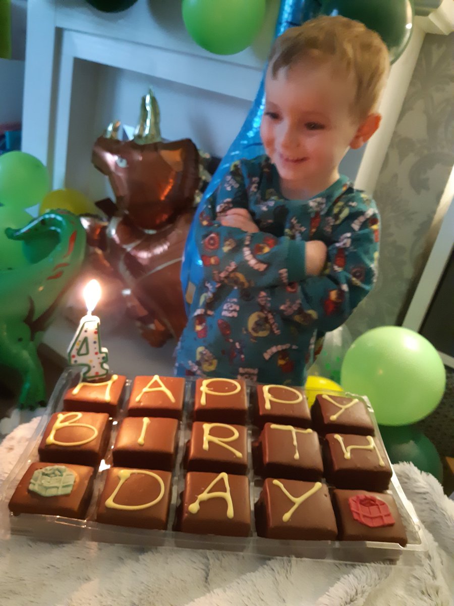 GooneyLisa's tweet photo. Happy 4th birthday Logi-Bear 🎉🦕🎁💙 https://t.co/jraIBUylWM