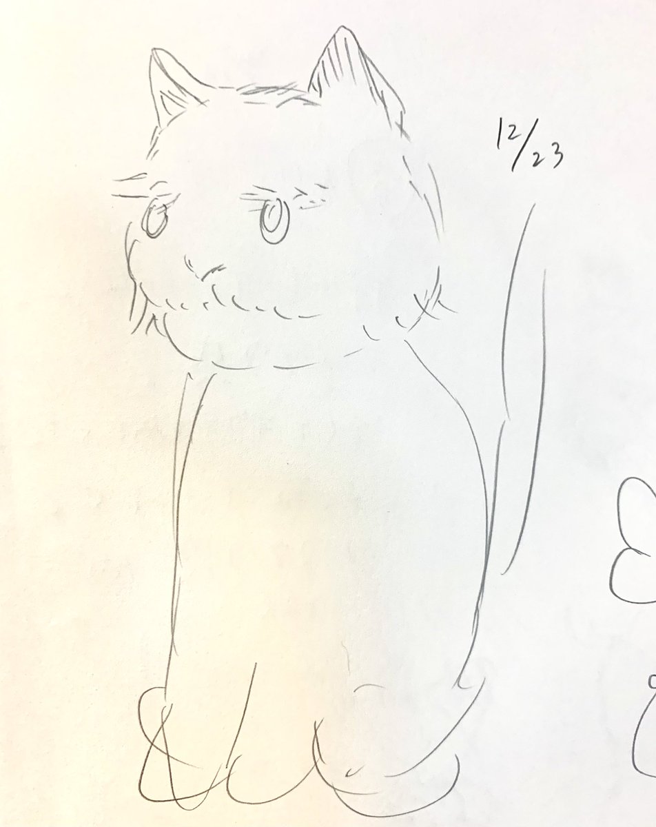 もふもふもしゃ🐈🐈‍⬛ 1枚目:ビフォー 2枚目:アフター  成長して…る?👀