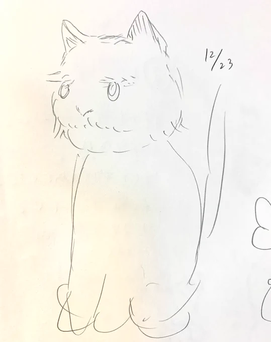 もふもふもしゃ🐈🐈‍⬛ 1枚目:ビフォー 2枚目:アフター  成長して…る?👀