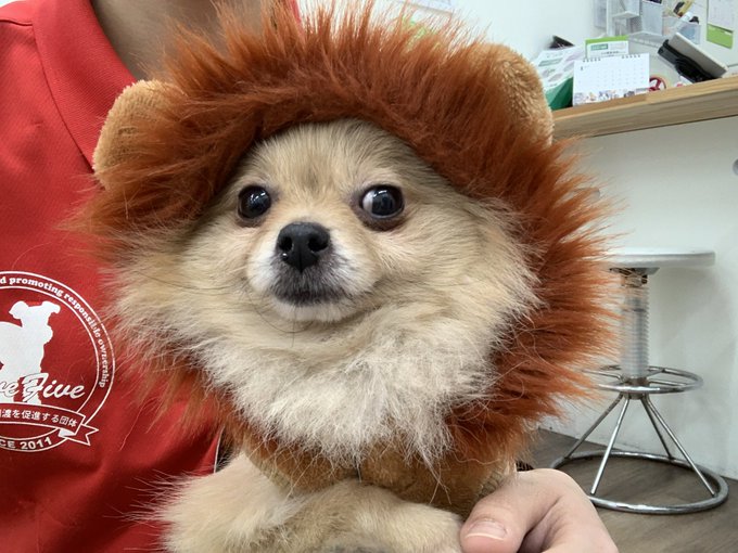 抱っこ 高画質 のtwitterイラスト検索結果 古い順