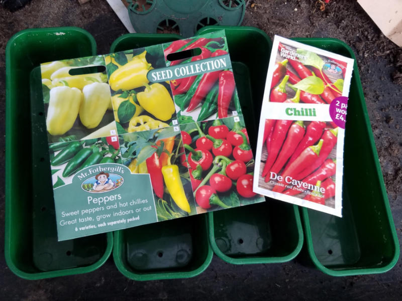 MandyCanUDigIt's tweet photo. BLOG: Chilli seeds sown - it may seem early but hotter varieties really need a long growing season. The peppers can wait! #gardening #gdnbloggers #gyo #chillihead @GWmag @mrfothergill https://t.co/BO5wwIWSGZ https://t.co/nWqgXbiQQW