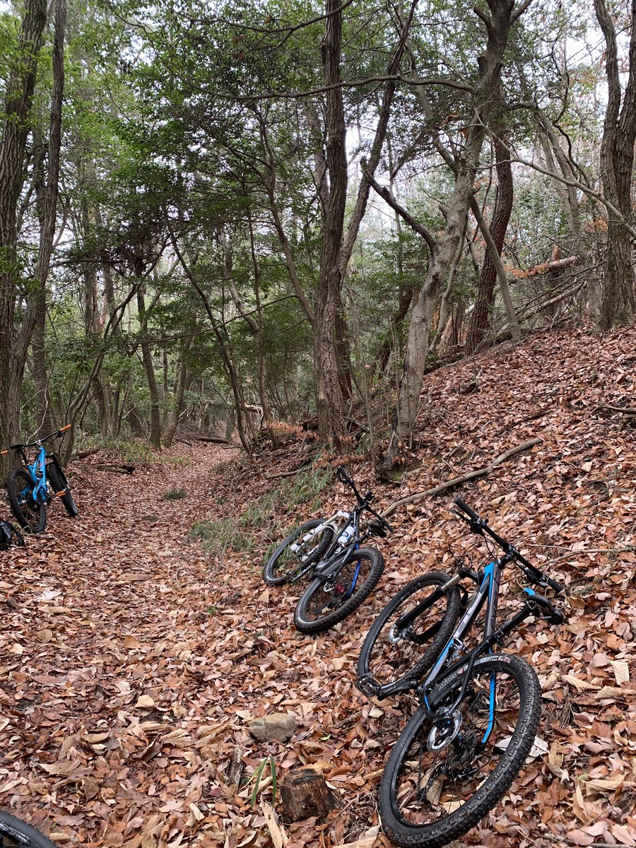 jinrikisha's tweet photo. 一昨日もお山へ。

#orangemountainbikes 
#storckbikes 
#transitionbikes 
#commencalbikes 
#gokiso
#velo 
#vélo 
#vtt 
#velotoutterrain 
#mtb
#mauntainbike 
#mauntainbikes 
#マウンテンバイク 
#atb 
#jinrikisha 
#jinrikisha_bicycle 
#人力車 
#フサオマキザル https://t.co/1IEbyTPHLB
