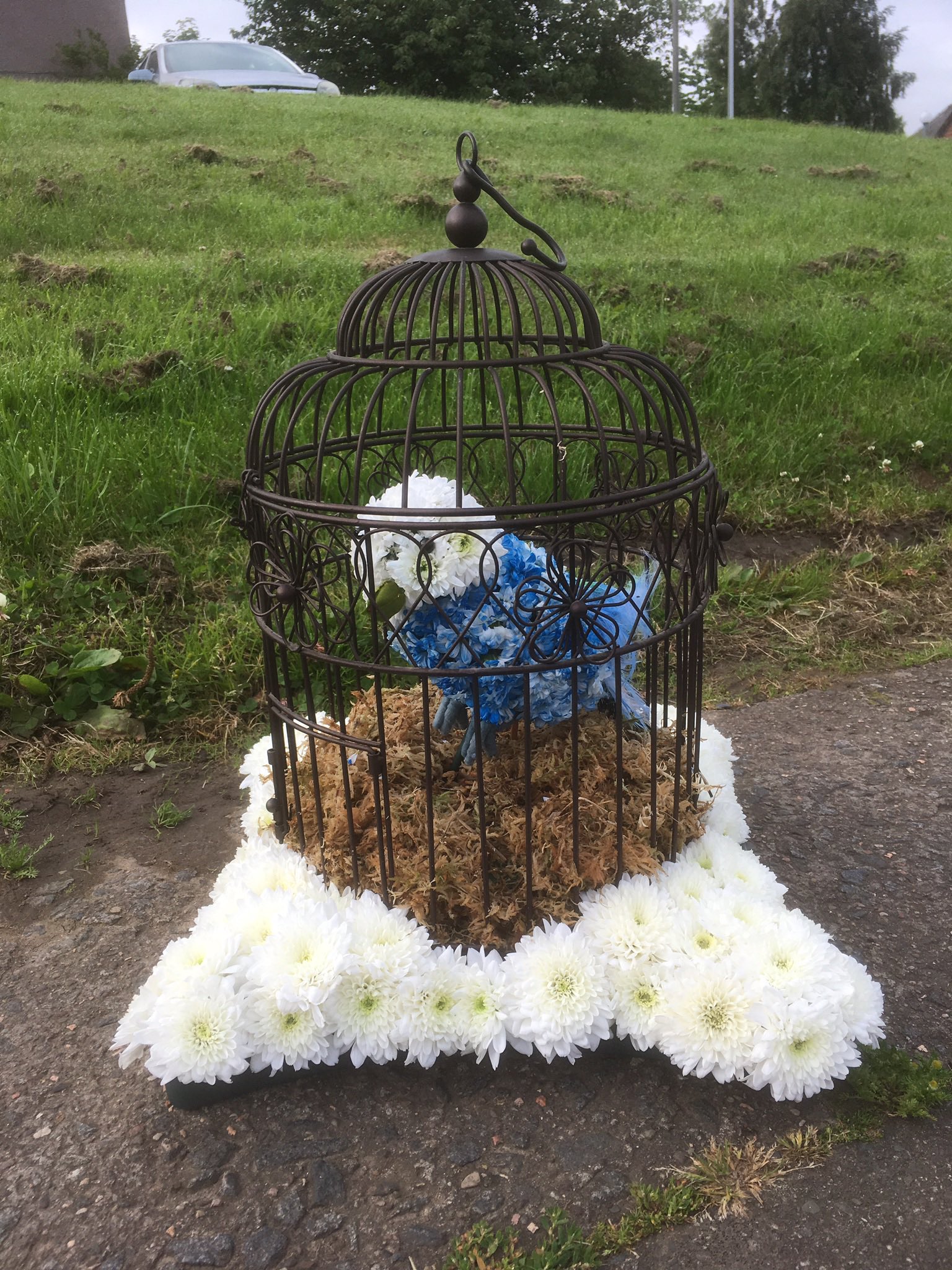 Scotmid Funerals on X: We often see some very unusual and amazing flowers  for funerals, here's a beautiful bird in a cage as the lady loved her  birds, especially her budgie #flowers #