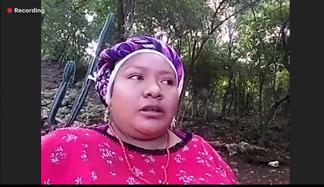 Last year I was on a panel with Monica Pushaina of the Wayúu people & her testimony was harrowing: "The mining company arrived promising progress & development. But our water sources have dried up, territory destroyed- this is what they call development?” 