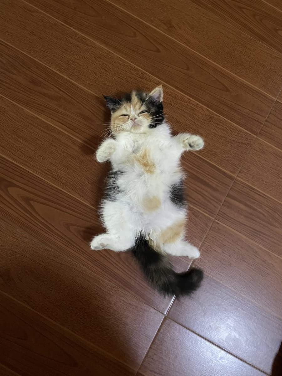 บีมกับน้องๆ tweet media