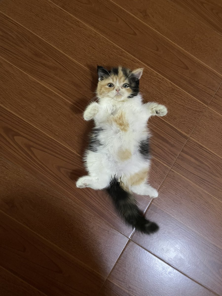 บีมกับน้องๆ tweet media