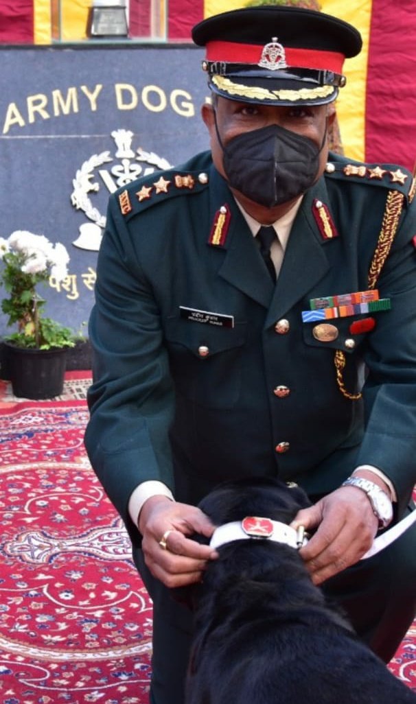 SWComd_IA's tweet photo. #ArmyDay2021
#ArmyDog #IRA was conferred the GOC-IN-C, SWC #CommendationCard for accurate explosive detection & recovery; preventing casualty to own troops operating in the area; reaffirmed the faith of troops in capability & efficiency of #CanineWarriors
#IndianArmy @adgpi https://t.co/5qMEfDPbYb