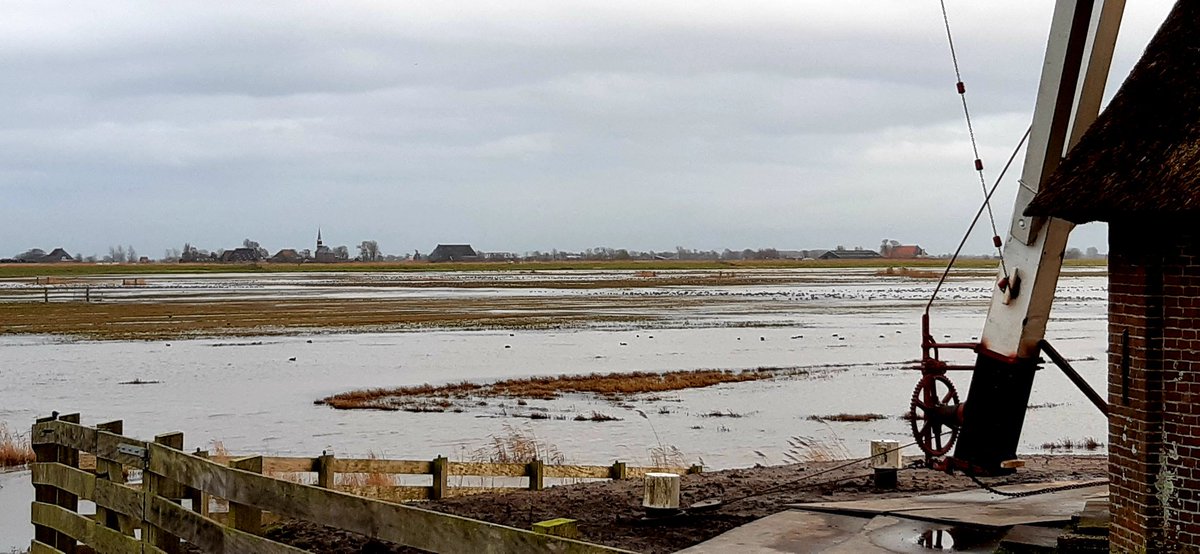 De Hempensermeerpolder loopt langzaam weer leeg. 

Het was en is nog steeds een feest om naar te kijken!
Hopen op een vervolg😊

#wetterskip
#provinciefriesland 
<a href="/wetterskip/">Wetterskip Fryslân</a> <a href="/GasterijWaldwei/">GasterijdeWâldwei</a> <a href="/provfryslan/">Provincie Fryslân</a> <a href="/Weidevogels_MD/">Weidevogels Midden-Delfland</a> <a href="/watervogel/">watervogel</a>