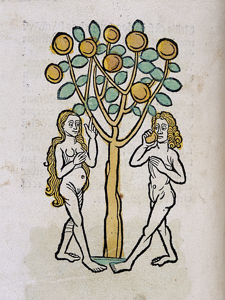 FolkloreThurs's tweet photo. This week's #FolkloreThursday theme is the folklore of plants and flowers! (Image: via Wellcome Collection) https://t.co/biIBUvViUk