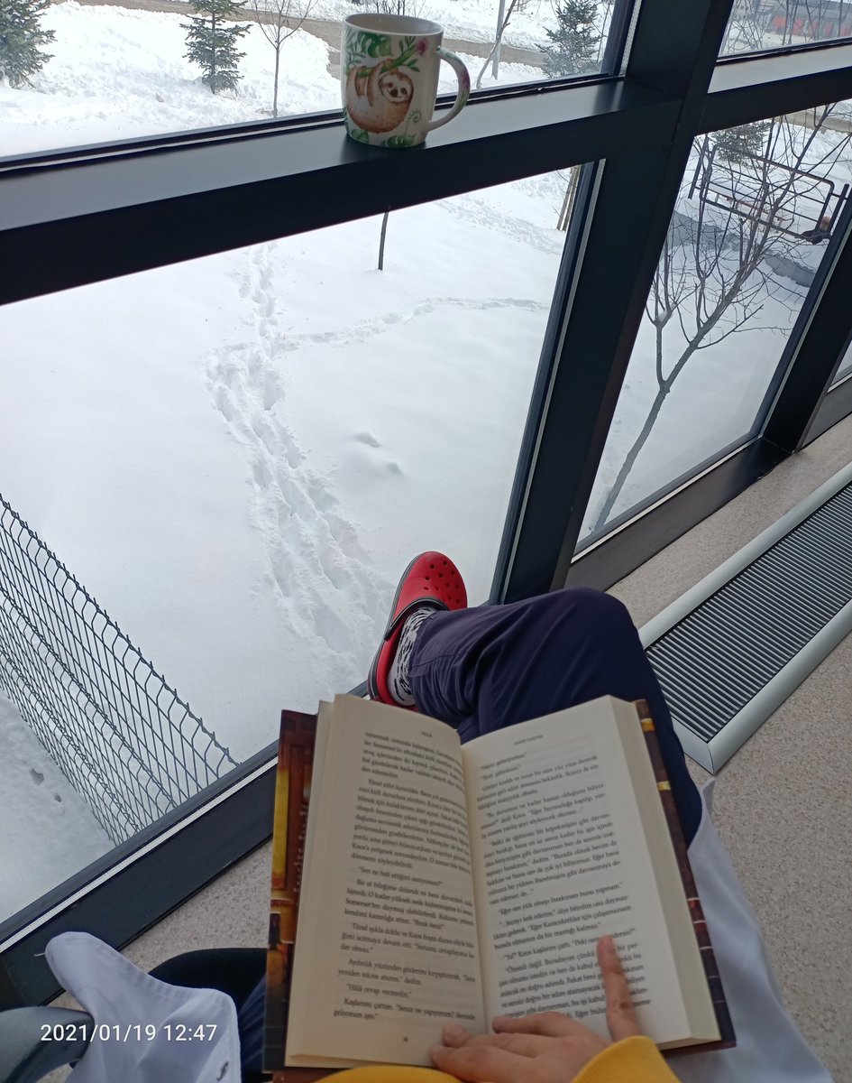 aelyyyf's tweet image. #aimeecarter #vezir #cay #kar #kitapokuyalım