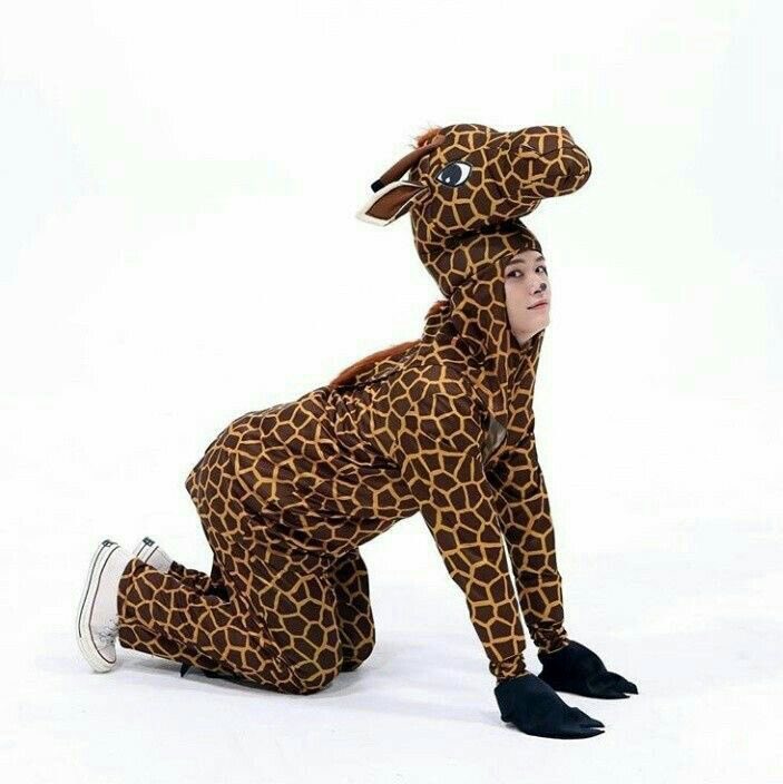 — minho pics that are in my mind rent free; a beautiful thread  #StrayKids  #skz