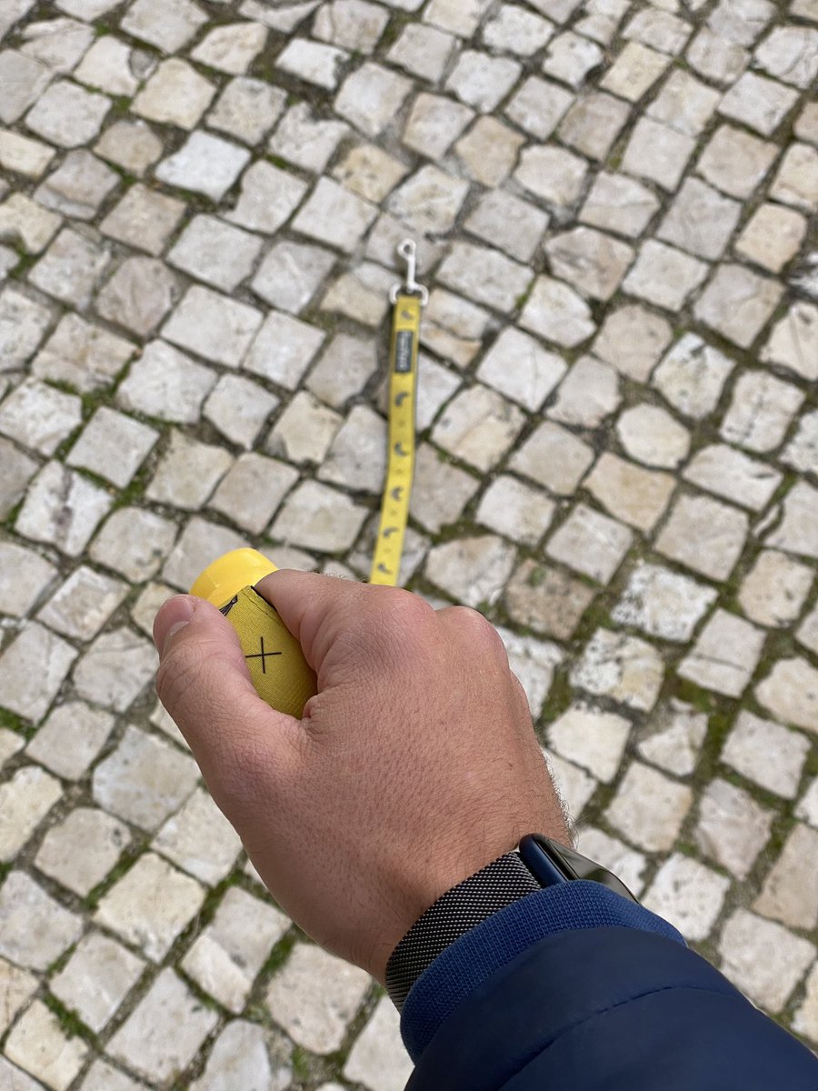 Vim só tratar de umas coisas à rua. Tudo controlado, trouxe a autorização de circulação.