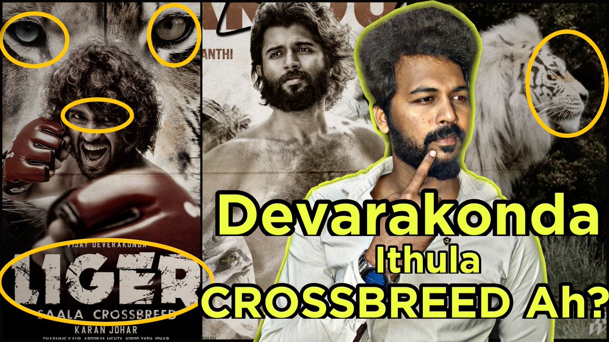 vjtnfc's tweet photo. @satyach78459401 Vijay Devarkonda ithula Crossbreed ah?

Video Link 👉🏻 https://t.co/Bj6HvCvkVH https://t.co/Dduev13sxT