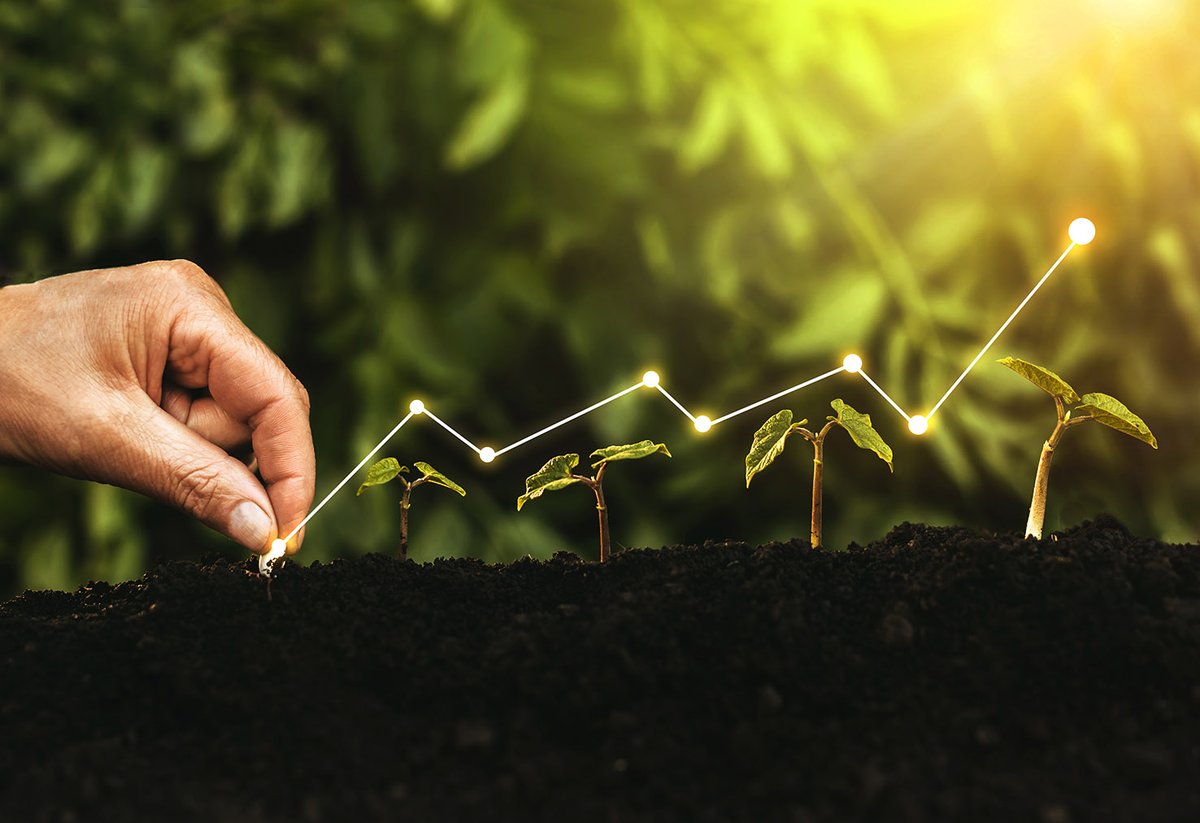 WoordvoerderLV's tweet photo. Bio-economie biedt ook kansen aan land- en tuinbouw. Al gehoord van tomatenloof dat wordt gebruikt om bouwmaterialen te produceren? Of groenteafval als grondstof voor cosmetica? Vlaanderen trekt mee aan de kar en heeft zijn actieplan bio-economie klaar: https://t.co/MbofRjQIS8 https://t.co/8UjXWPEKH4