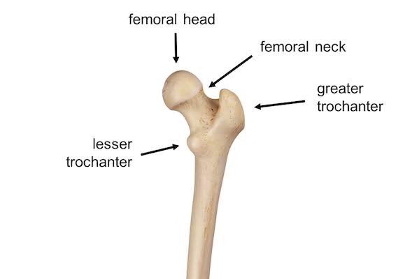 nyn_'s tweet photo. Ortopedist olduğum için kardan proksimal femur kemiği yaptım. Kardan adam yapmadım. O benim işim değil. Dahiyenin işi kardan adam onlar yapsın. https://t.co/3J6mUAUlw2