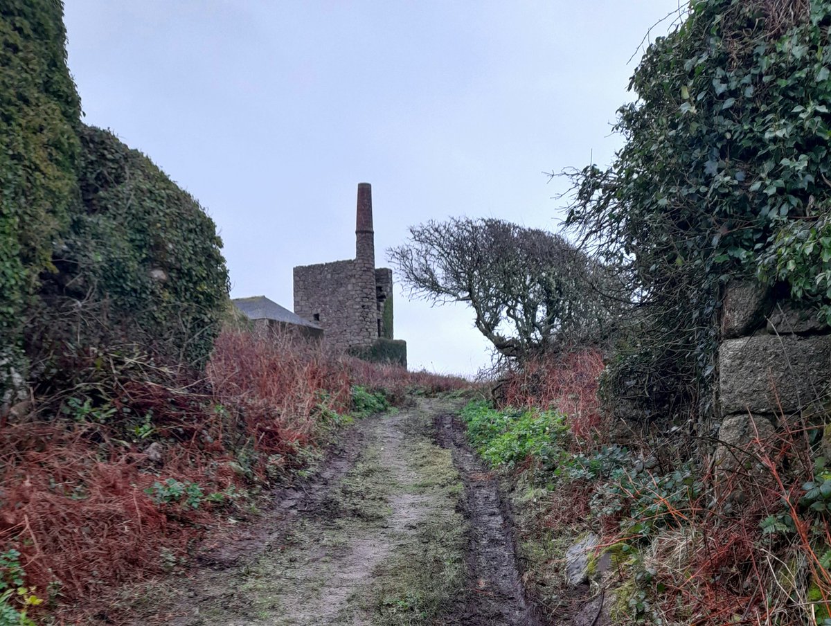 gnome_alice's tweet photo. Dull grey morning but no storm yet
Brambles, sodden, almost black
Up through #Kenidjack
#MilkStand in #Truthwall
Along #NoGoBy homewards, #StJust looks a bit drab, can see my home, know it is warmer and more welcoming than it appears from here.
#Lannust
#Kernow https://t.co/Wf9nJmVfuU