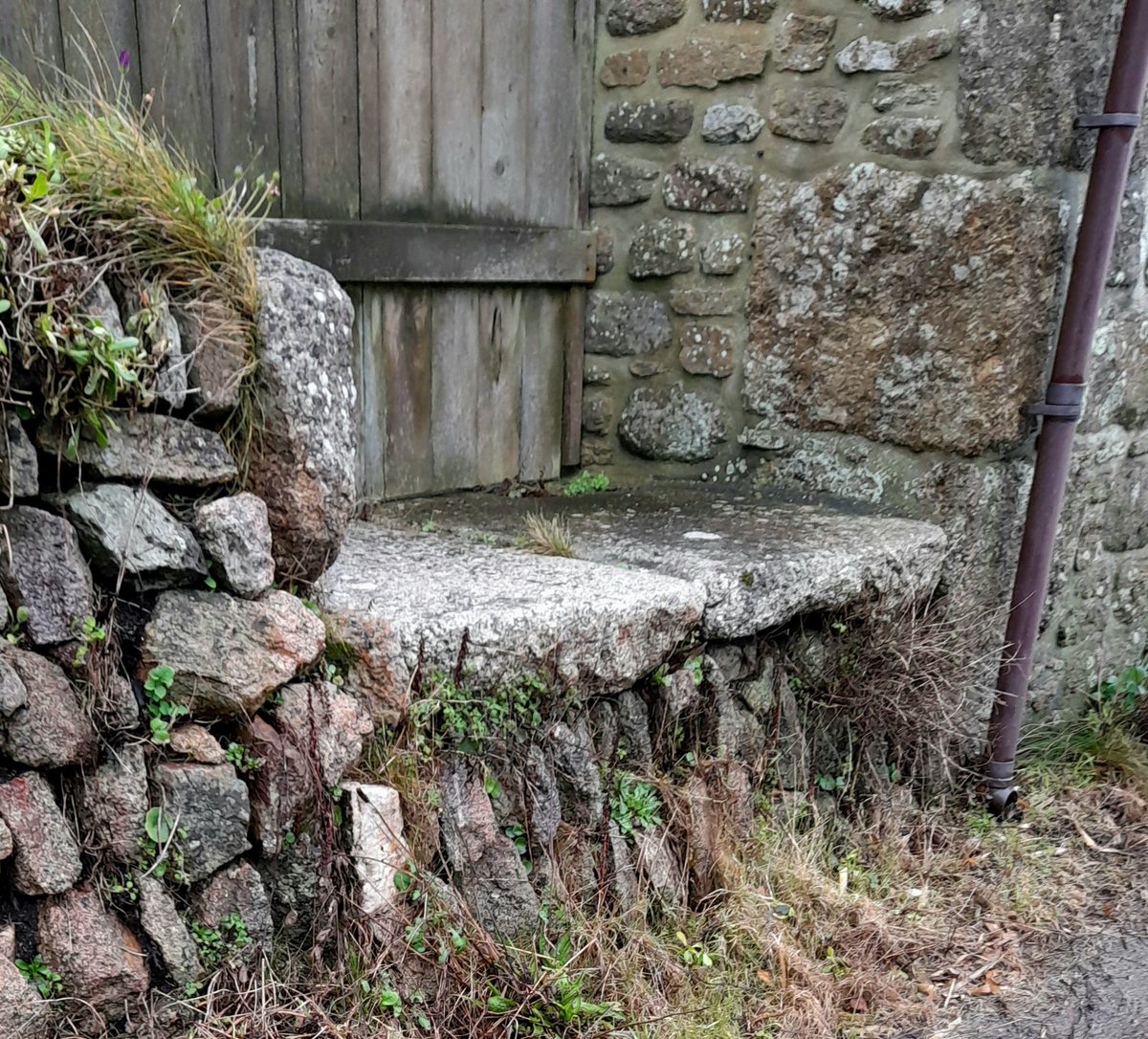 gnome_alice's tweet photo. Dull grey morning but no storm yet
Brambles, sodden, almost black
Up through #Kenidjack
#MilkStand in #Truthwall
Along #NoGoBy homewards, #StJust looks a bit drab, can see my home, know it is warmer and more welcoming than it appears from here.
#Lannust
#Kernow https://t.co/Wf9nJmVfuU