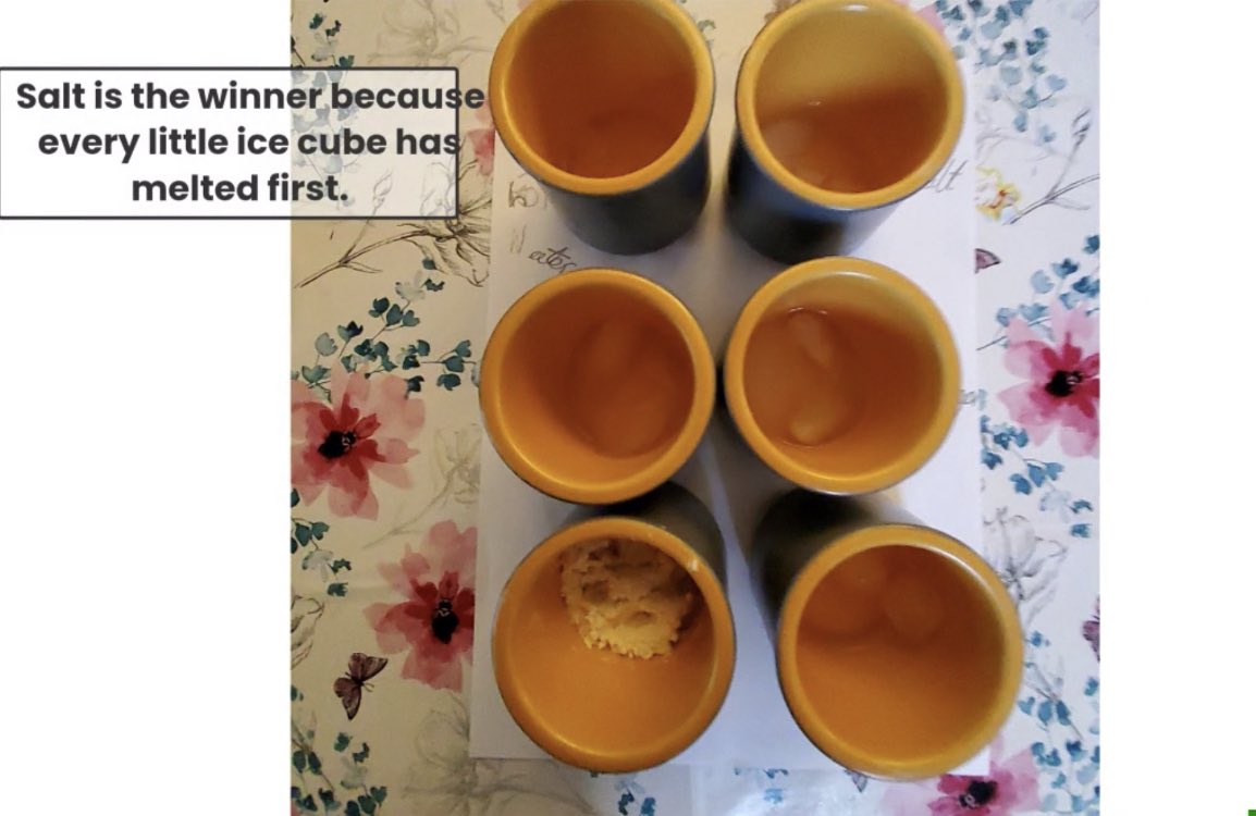 Brandlehow School tweet media