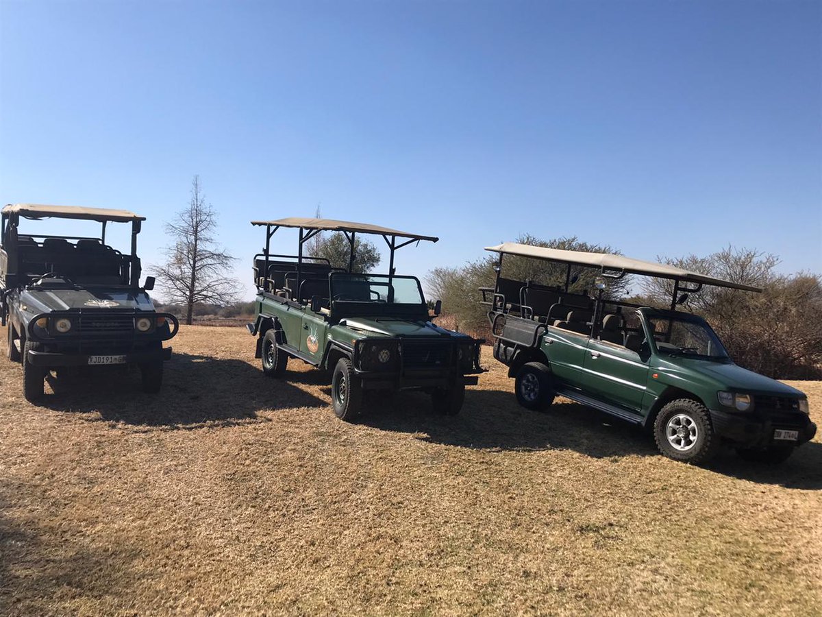 DitholoLodge's tweet photo. Don't forget to book your Game Drive during your stay at Ditholo Game Lodge!
Game Drives are offered in the morning and late afternoon, and can be booked at Rece...
#DitholoGameLodge #OrionHotels #GameDrive #Bushlife #Nature #Wildlife #Limpopo #LoveLimpopo #ThisIsAfrica https://t.co/sAplIUo9o1