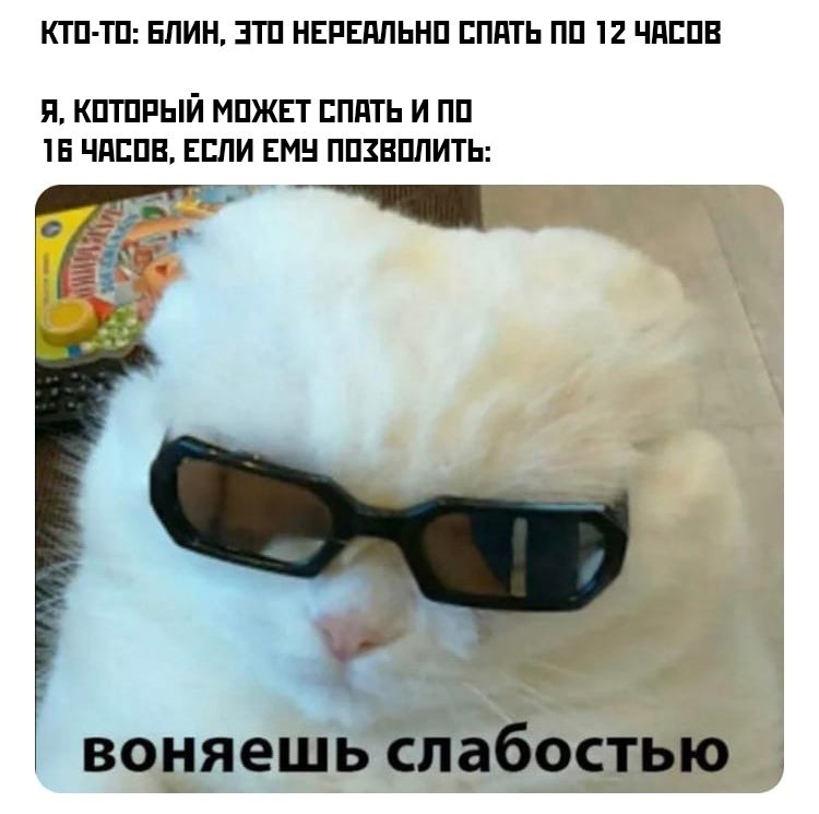malininanatalie's tweet photo. ю ноу блин!!!!!!!!! https://t.co/aiy8MgWdXm